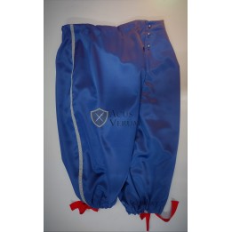 taffeta breeches 17th century